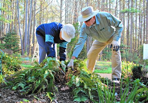 Williamsburg Gardening Experts Offer Tips On Preparing Your Garden For