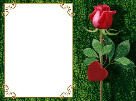 Upload an image you can move, resize and rotate. Transparent Green PNG Photo Frame with Rose and Heart ...