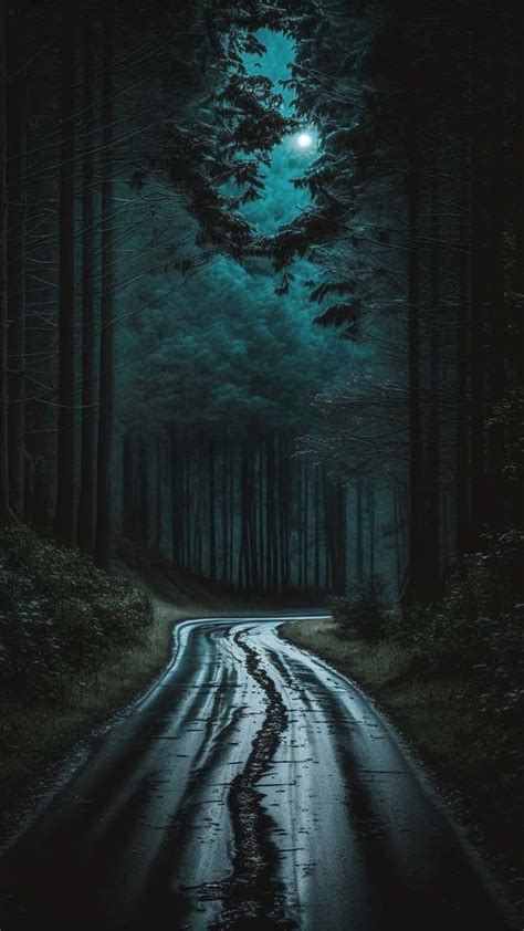 Forest Road Iphone Wallpaper Hd Iphone Wallpapers Iphone Wallpapers