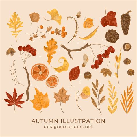 Autumnfall Vector Illustrations Designercandies