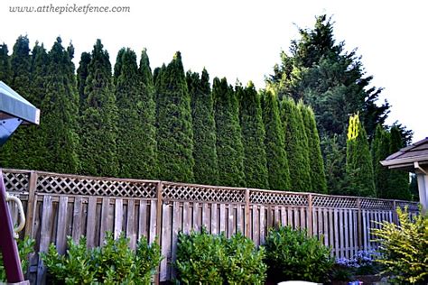 Lattice Turned Deck Privacy Screen At The Picket Fence