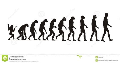 Human Evolution Illustration Of Theory Human Evolution Sponsored