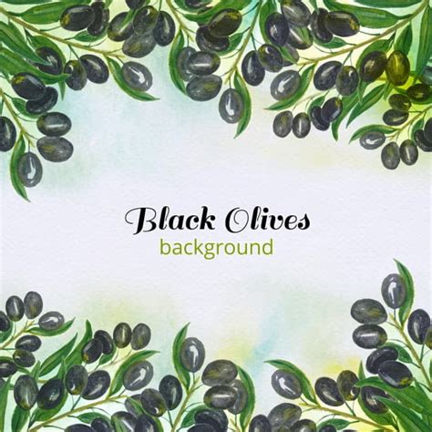 Black Olives Background Eps Vector Uidownload