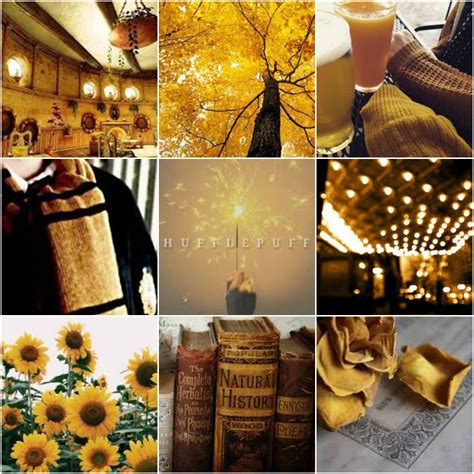 Hufflepuff Collage Wallpapers Home Hufflepuff Wallpapers Page 1