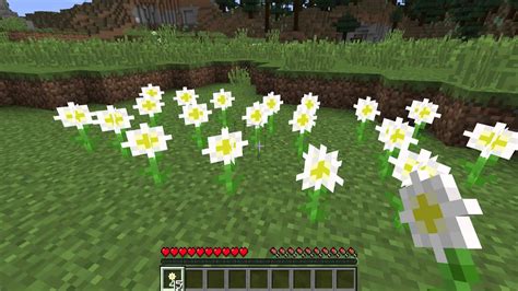What Is An Oxeye Daisy Minecraft Flower Youtube