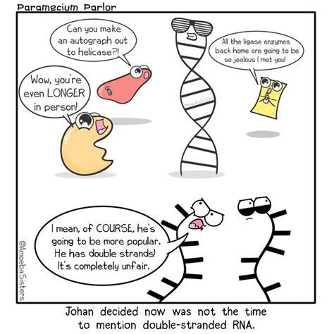 Rna Envy Science Comics Biology Humor Biology Memes