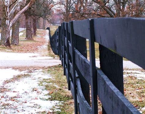 my favorite amateur photos black fences cincinnati oh