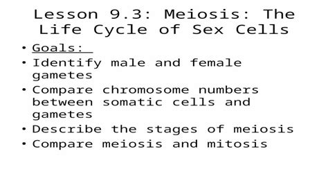 Ppt Lesson 93 Meiosis The Life Cycle Of Sex Cells Goals Identify Male And Female Gametes