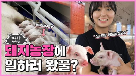 돼지농장에 일하러 왔꿀🐷 하루 농촌 체험단 1화 Youtube