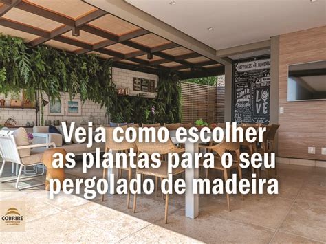 Veja Como Escolher As Plantas Para O Seu Pergolado De Madeira Cobrire