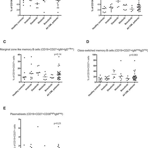 Flow Cytometry Analysis Of PB B Cell Subclasses Following PB B Cell