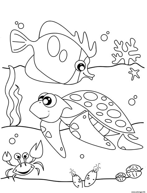 Free Printable Ocean Life Worksheets For 8th Grade