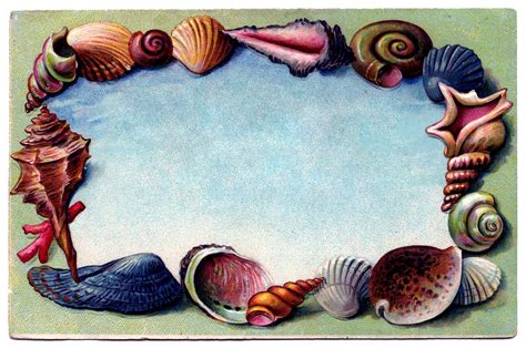 ✓ free for commercial use ✓ high quality images. Vintage Clip Art - Souvenir Seashell Postcard #2 - The ...