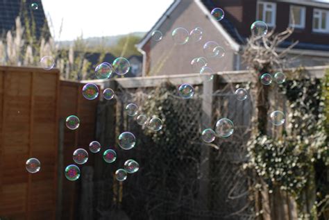 Bubbles Outside Fun Free Photo On Pixabay