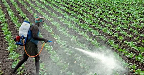 Maharashtra Drops Chemicals, To Issue Prescriptions for ...