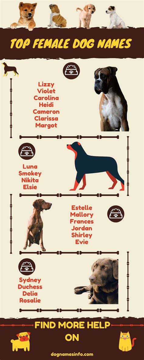Unique Female Dog Names 2020 250 Popular Girl Puppy Names Ideas