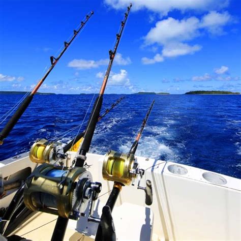 Vavau Game Fishing Charters Tonga Tourism