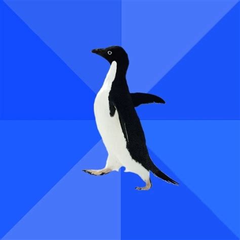 Socially Awkward Penguin Blank Template Imgflip
