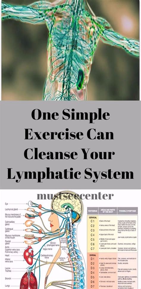 One Simple Exercise Can Cleanse Your Lymphatic System Lymphatic System Easy Workouts