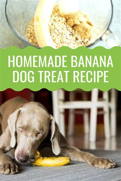 Yes, dogs can eat gerber baby food as long as it is pure fruit or vegetable. Can Dogs Eat Bananas | Banana dog treat recipe, Can dogs ...