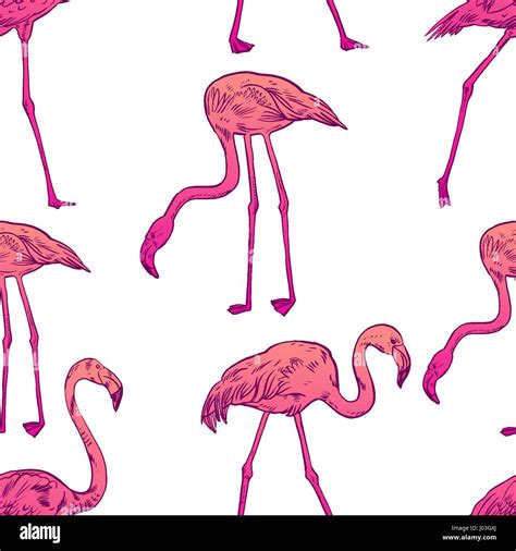 Pink Flamingo Vector Illustration Stock Vector Image And Art Alamy