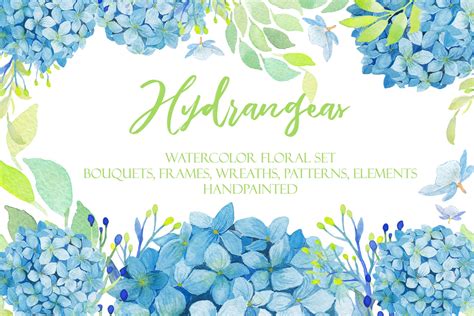 Watercolor Hydrangea Floral Clipart ~ Illustrations ~ Creative Market