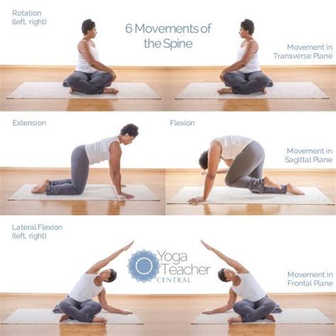 Yoga Sequencing Principles And Other Tips By Yoga Teacher Central