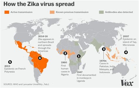 9 Questions About The Zika Virus You Were Too Embarrassed To Ask Vox