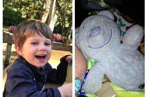 Desperate Appeal To Reunite Lost Teddy Bear With His Owner Glasgow Live