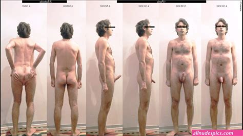 File Male Study Nude Organs Nudes Pics