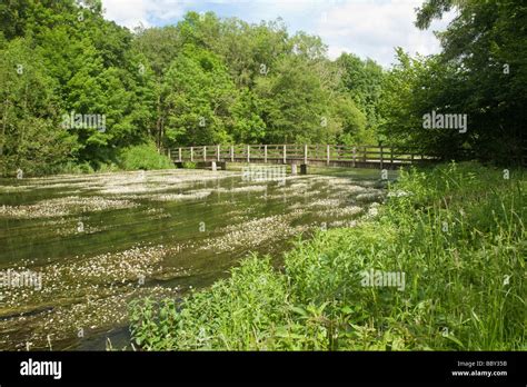 Footbridge Over The River Kennet At Chilton Foliat Near Hungerford