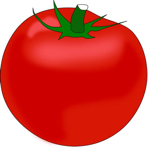 Tomato Clipart Png Png Image Collection