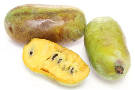 What Are Pawpaws Discover The Tropical Fruit Growing Wild