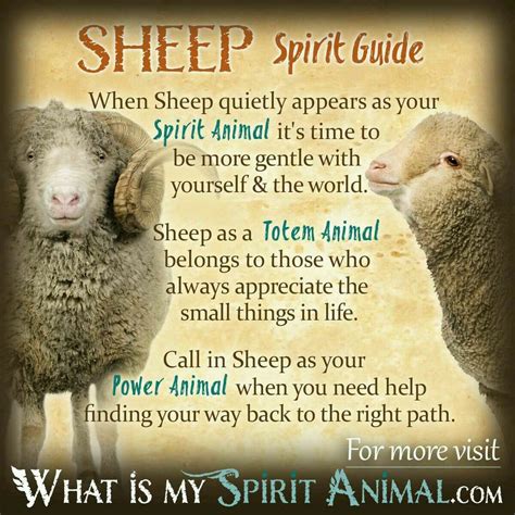 Pin by Lisa S on My spirit animal | Animal totem spirit guides, Spirit animal meaning, Spirit ...