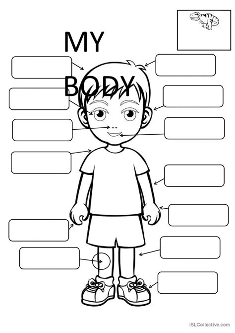 Body Parts Fill In The Blanks English Esl Worksheets Pdf And Doc