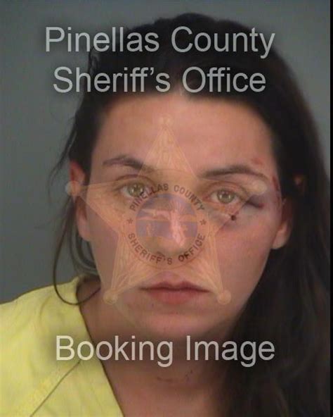 pinellas beaches jail bookings june 25 july 1 pinellas beaches fl patch