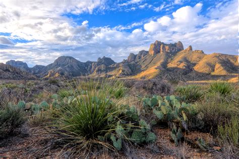desert, Cactus, Landscape, Shrubs, Clouds, Mountain, Texas, National ...