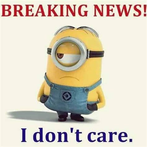 59 Funny Minions Picture Quotes And Funny Memes