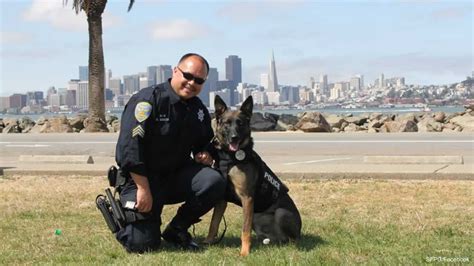 San Francisco Police Dogs Get New Bullet Proof Vests From Non Profit
