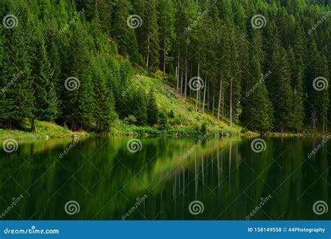 Dark Green Waters Of An Idyllic Lake In The Forest Stock Photo Image