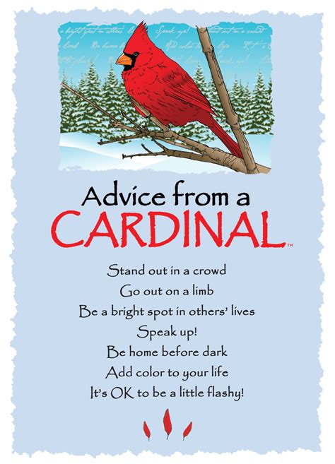 Advice From A Cardinal Winter Blank Greeting Card