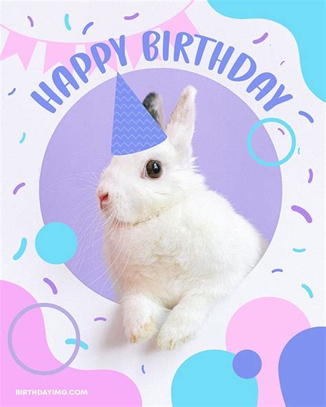 Funny Happy Birthday Bunny