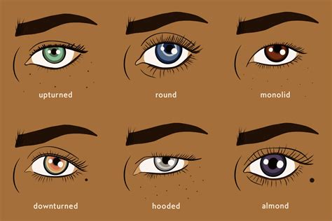 Everything You Need To Know About Applying Makeup For Your Eye Shape