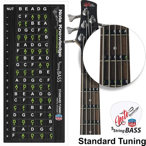Amazon String Bass Guitar Fretboard Note Map Decals Stickers Musical Instruments