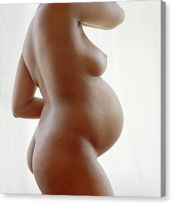 Naked Pregnant Woman Photograph By Cecilia Magill Science Photo Library