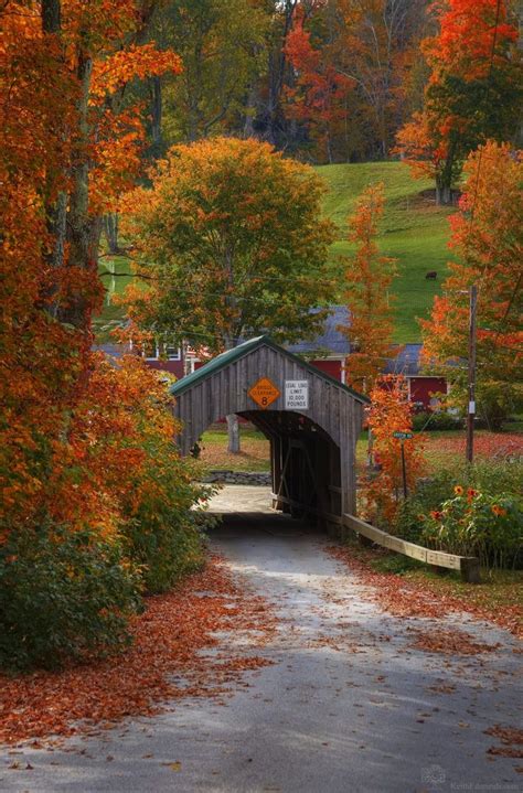 Classic Vermont Fall Foliage Tour All Day Local Captures Autumn