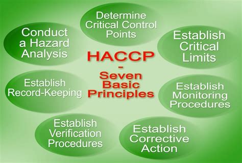 Haccp 12 Steps Diagram