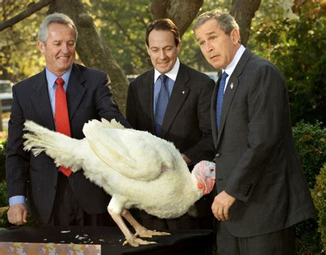 photos presidential turkey pardons — a look back