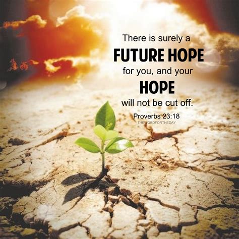 Bible Quotes About Hope Quotes