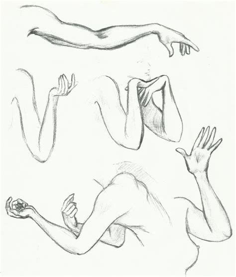 Anatomy drawing critiques the lower back youtube. Daily Sketch - Arm/Hand Study by Pixel-Slinger on DeviantArt
